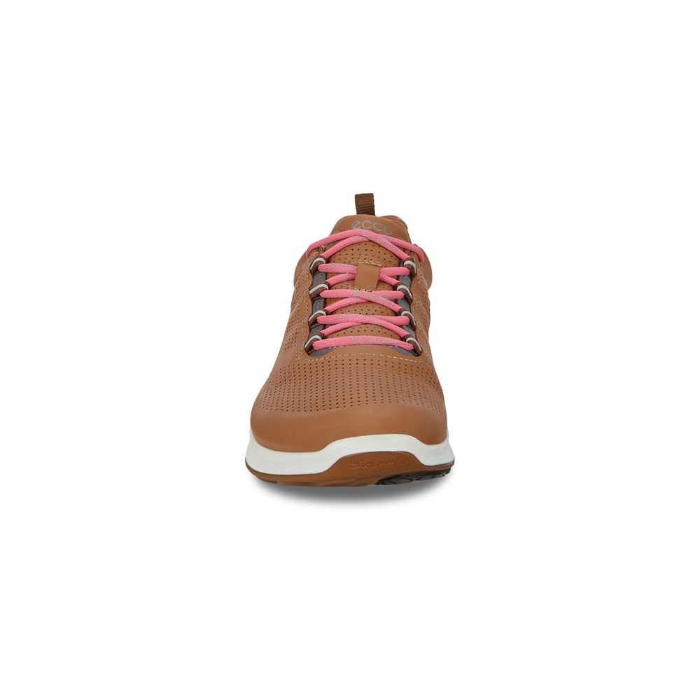 Tenis Mujer - ECCO Biom Fjuel Train - Marrom - ODU306729